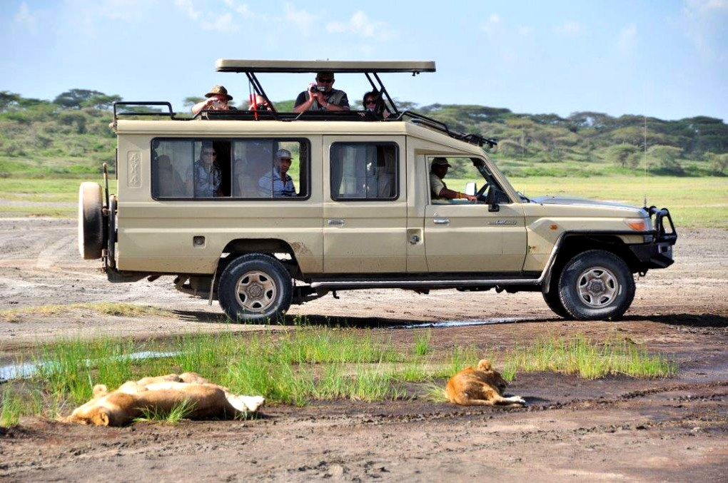 7 Days Malawi Wildlife Safari