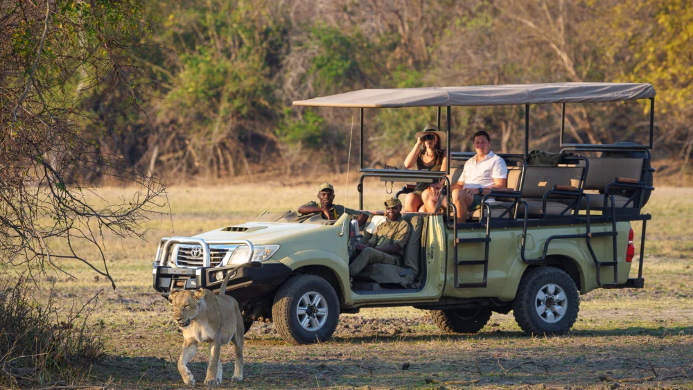 Malawi Wildlife Safari Tour